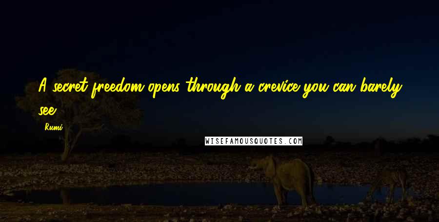 Rumi Quotes: A secret freedom opens through a crevice you can barely see.