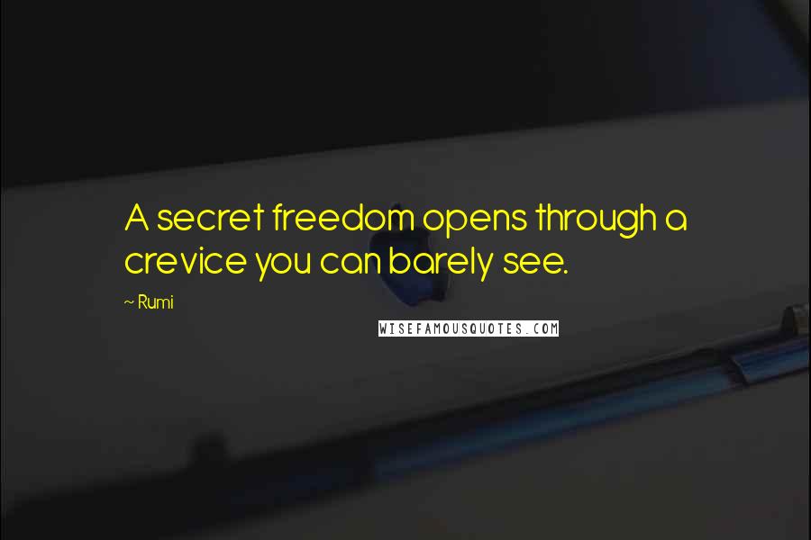 Rumi Quotes: A secret freedom opens through a crevice you can barely see.