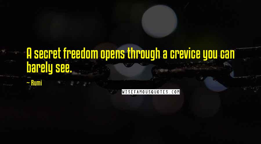 Rumi Quotes: A secret freedom opens through a crevice you can barely see.
