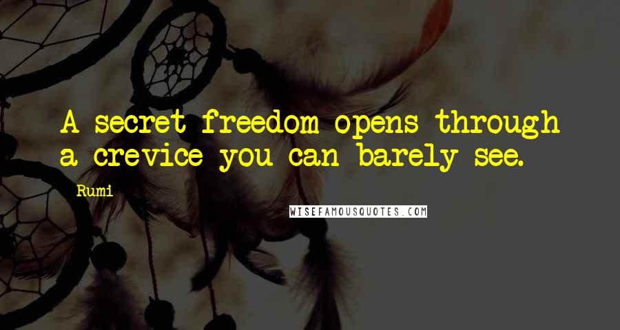 Rumi Quotes: A secret freedom opens through a crevice you can barely see.