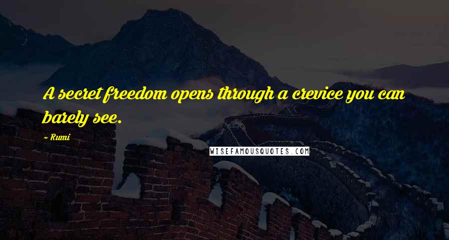 Rumi Quotes: A secret freedom opens through a crevice you can barely see.