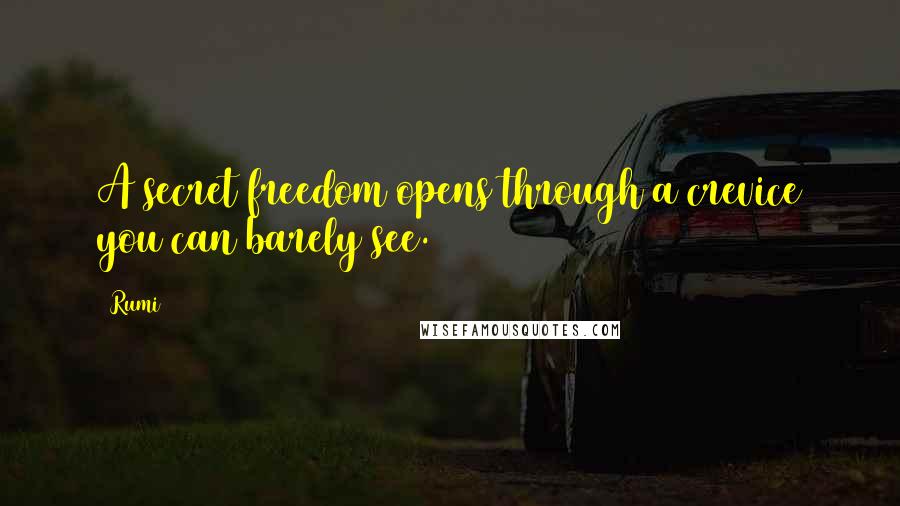 Rumi Quotes: A secret freedom opens through a crevice you can barely see.