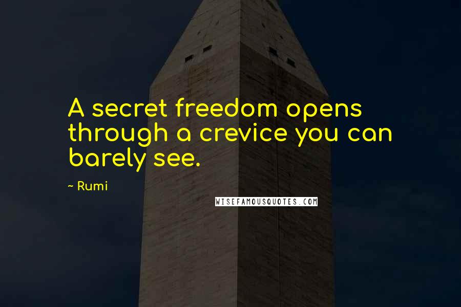 Rumi Quotes: A secret freedom opens through a crevice you can barely see.