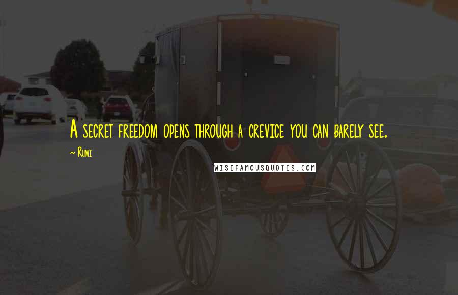 Rumi Quotes: A secret freedom opens through a crevice you can barely see.