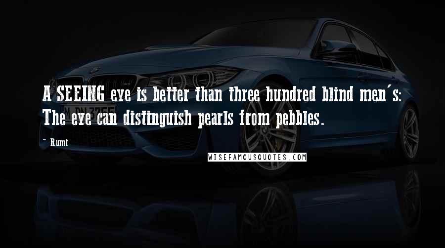 Rumi Quotes: A SEEING eye is better than three hundred blind men's: The eye can distinguish pearls from pebbles.