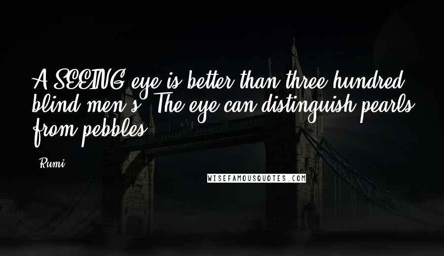 Rumi Quotes: A SEEING eye is better than three hundred blind men's: The eye can distinguish pearls from pebbles.