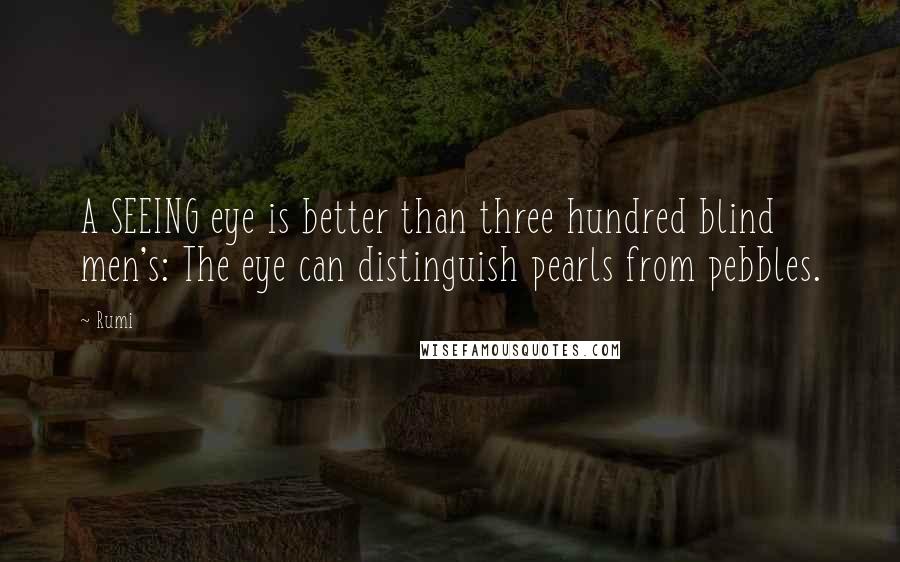 Rumi Quotes: A SEEING eye is better than three hundred blind men's: The eye can distinguish pearls from pebbles.