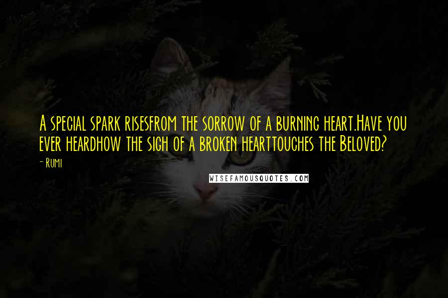 Rumi Quotes: A special spark risesfrom the sorrow of a burning heart.Have you ever heardhow the sigh of a broken hearttouches the Beloved?