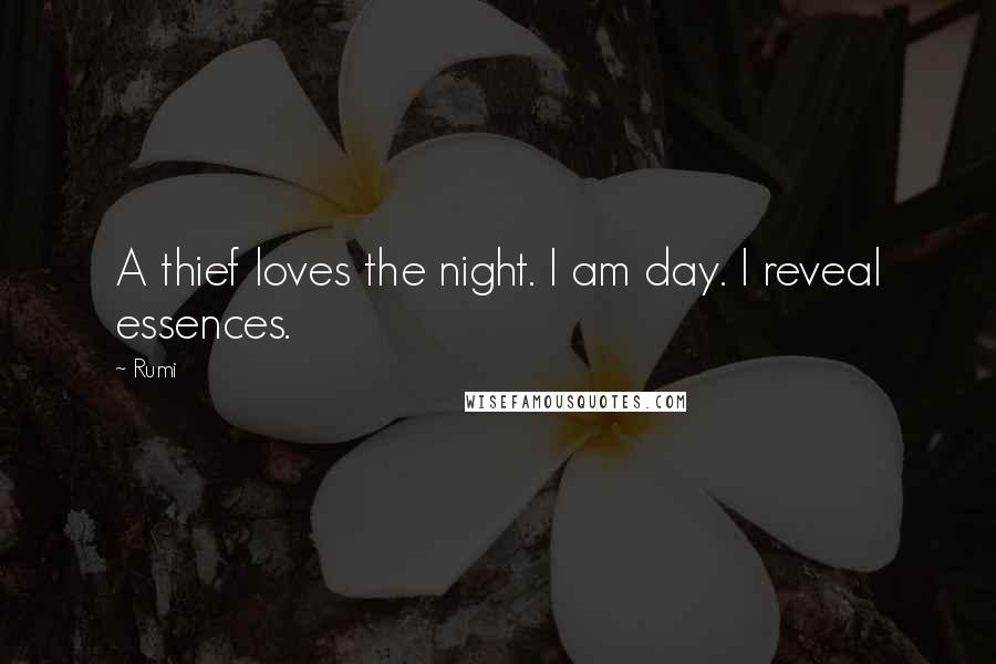 Rumi Quotes: A thief loves the night. I am day. I reveal essences.