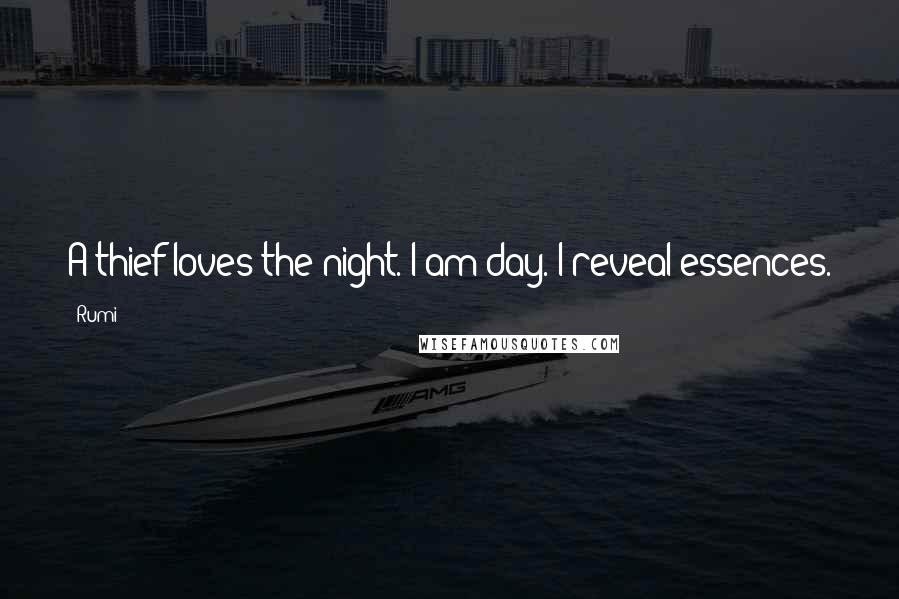 Rumi Quotes: A thief loves the night. I am day. I reveal essences.