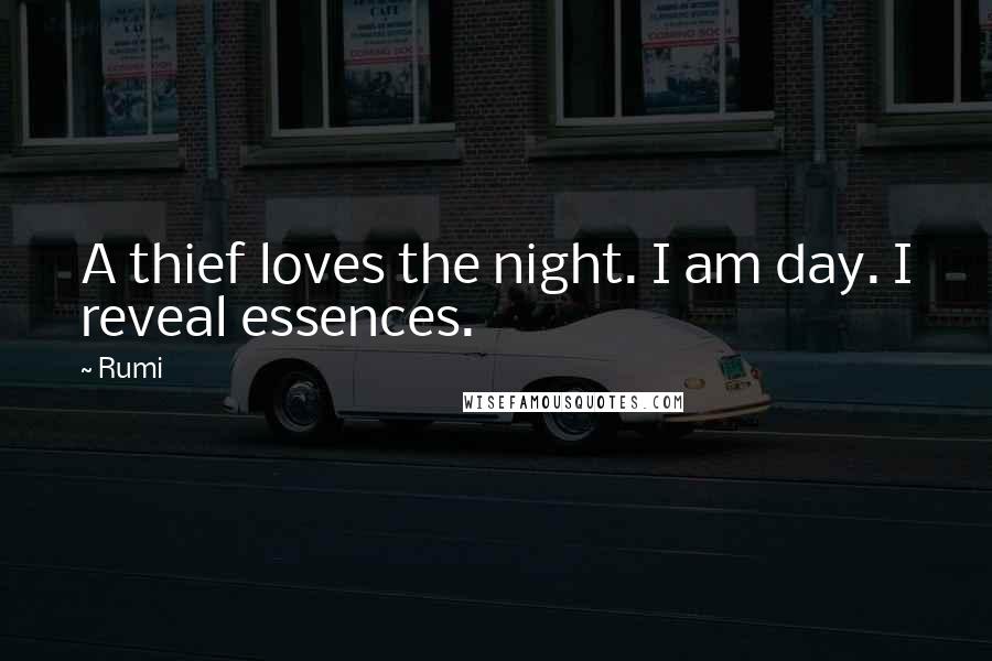 Rumi Quotes: A thief loves the night. I am day. I reveal essences.