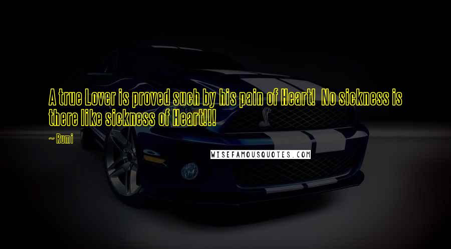 Rumi Quotes: A true Lover is proved such by his pain of Heart! No sickness is there like sickness of Heart!!!