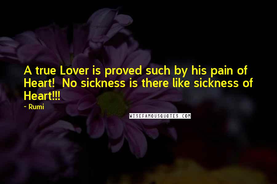 Rumi Quotes: A true Lover is proved such by his pain of Heart! No sickness is there like sickness of Heart!!!