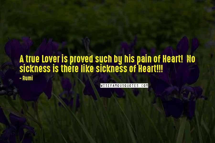 Rumi Quotes: A true Lover is proved such by his pain of Heart! No sickness is there like sickness of Heart!!!