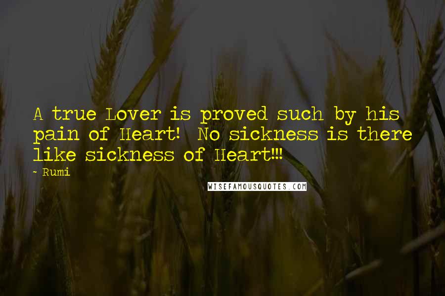 Rumi Quotes: A true Lover is proved such by his pain of Heart! No sickness is there like sickness of Heart!!!
