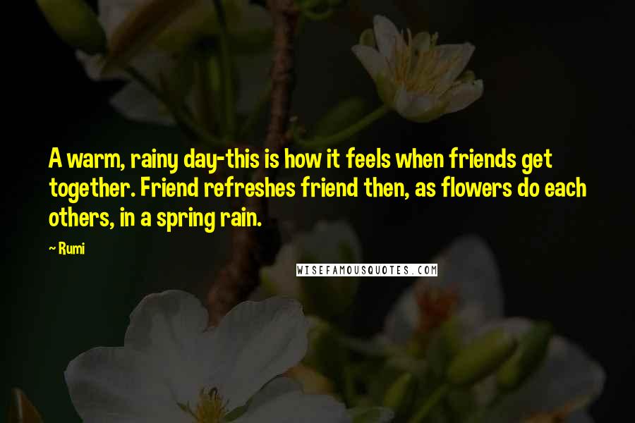 Rumi Quotes: A warm, rainy day-this is how it feels when friends get together. Friend refreshes friend then, as flowers do each others, in a spring rain.