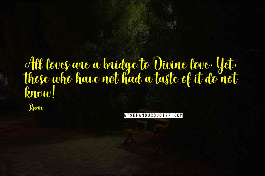 Rumi Quotes: All loves are a bridge to Divine love. Yet, those who have not had a taste of it do not know!