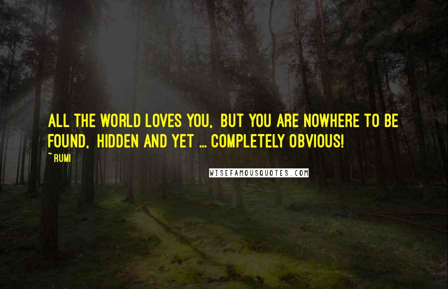 Rumi Quotes: All the world Loves You,  but You are nowhere to be found,  Hidden and yet ... completely obvious!