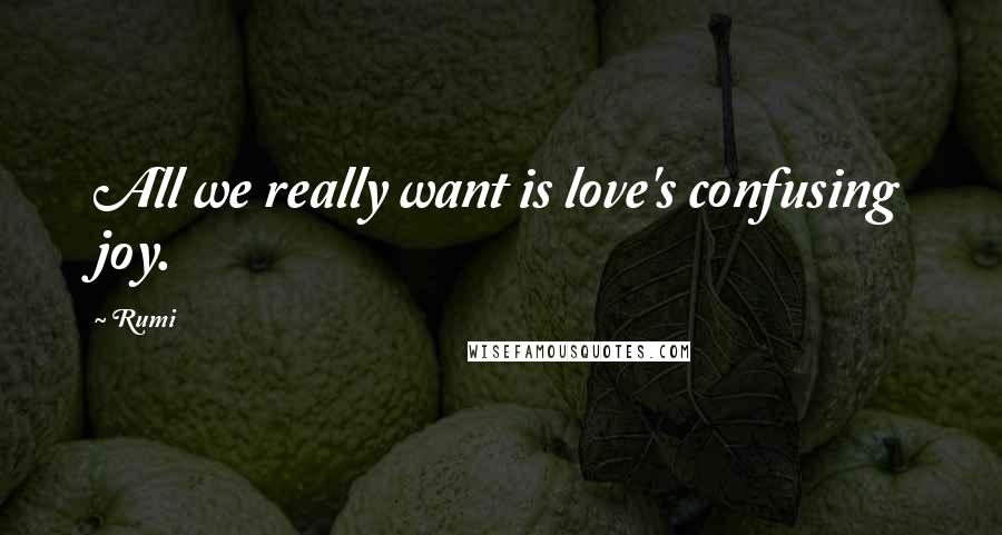 Rumi Quotes: All we really want is love's confusing joy.