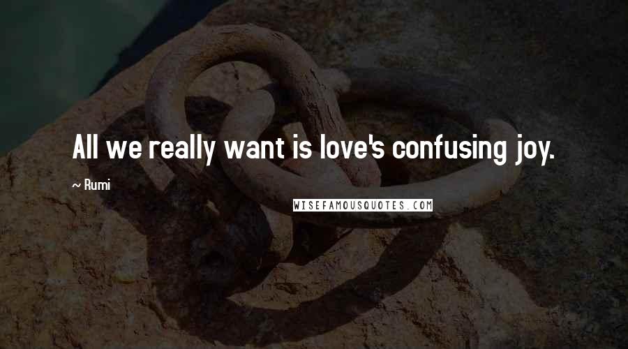 Rumi Quotes: All we really want is love's confusing joy.