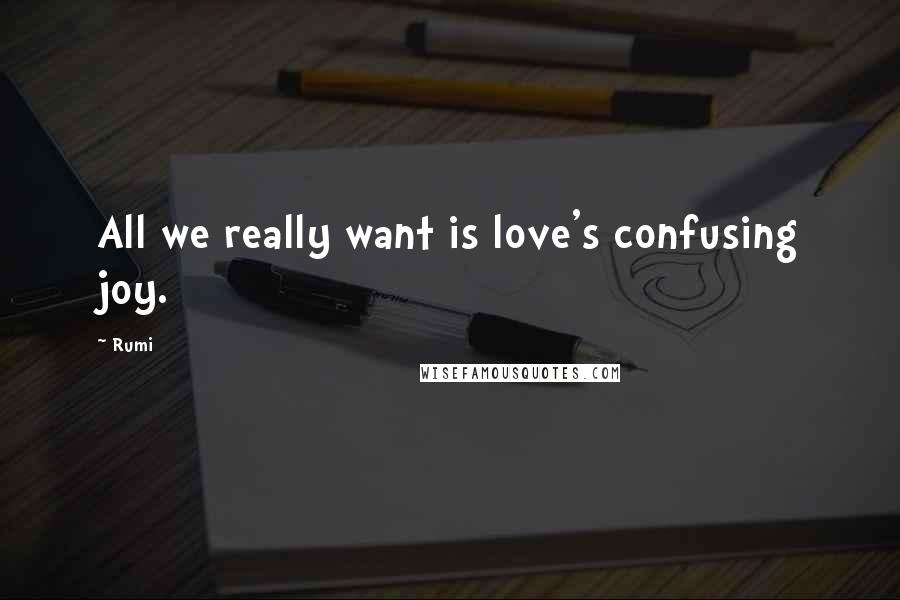 Rumi Quotes: All we really want is love's confusing joy.