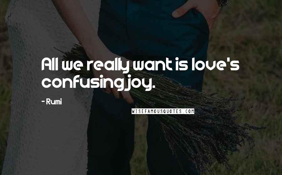 Rumi Quotes: All we really want is love's confusing joy.