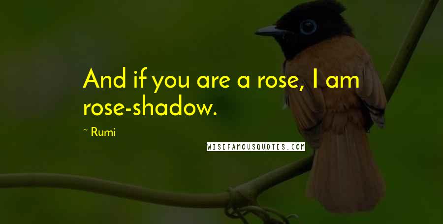 Rumi Quotes: And if you are a rose, I am rose-shadow.