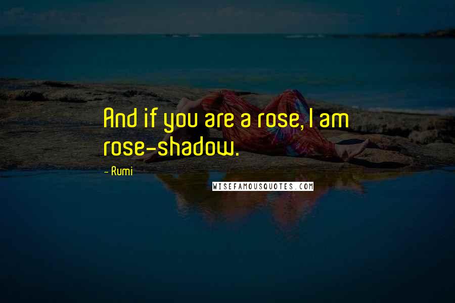 Rumi Quotes: And if you are a rose, I am rose-shadow.