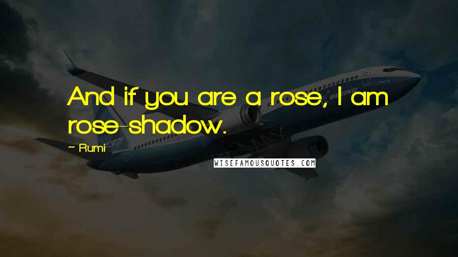 Rumi Quotes: And if you are a rose, I am rose-shadow.