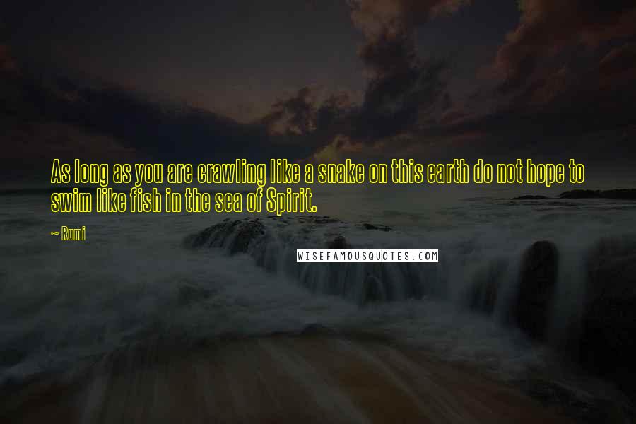 Rumi Quotes: As long as you are crawling like a snake on this earth do not hope to swim like fish in the sea of Spirit.