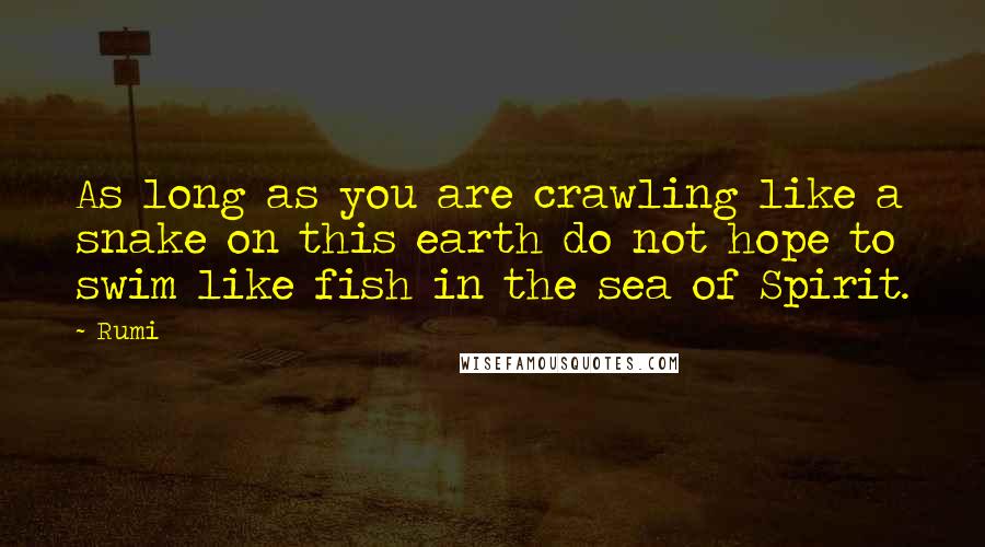 Rumi Quotes: As long as you are crawling like a snake on this earth do not hope to swim like fish in the sea of Spirit.