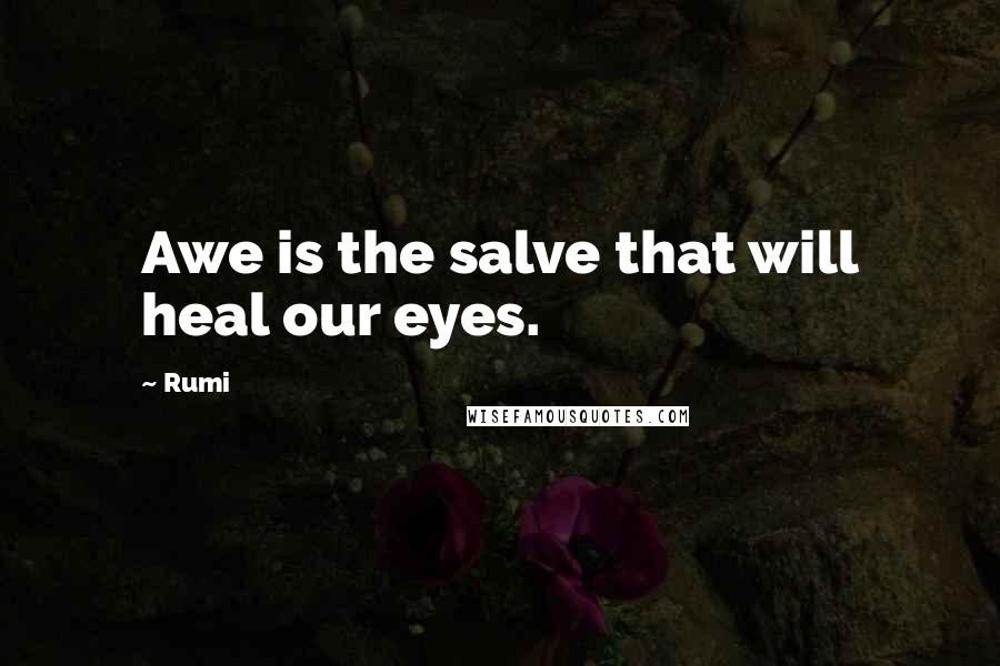 Rumi Quotes: Awe is the salve that will heal our eyes.