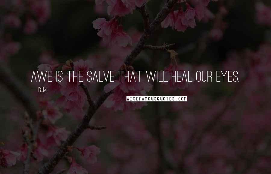 Rumi Quotes: Awe is the salve that will heal our eyes.