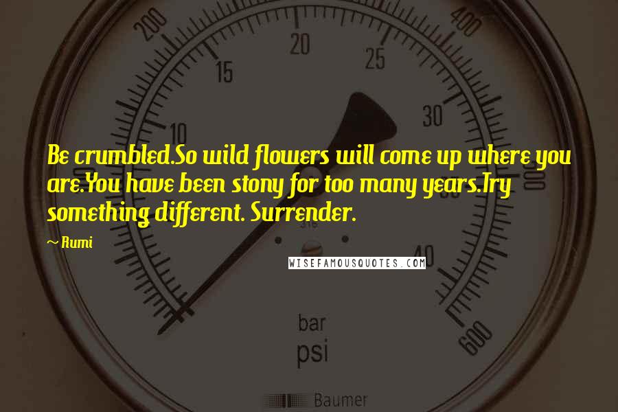 Rumi Quotes: Be crumbled.So wild flowers will come up where you are.You have been stony for too many years.Try something different. Surrender.