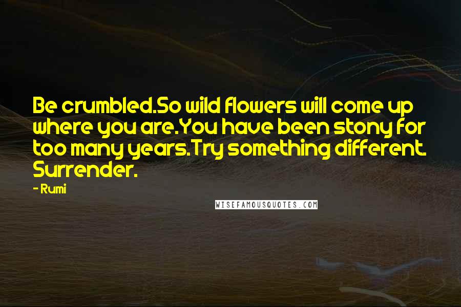 Rumi Quotes: Be crumbled.So wild flowers will come up where you are.You have been stony for too many years.Try something different. Surrender.