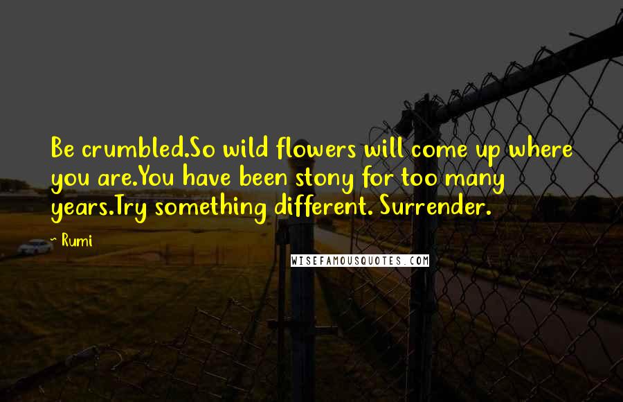 Rumi Quotes: Be crumbled.So wild flowers will come up where you are.You have been stony for too many years.Try something different. Surrender.