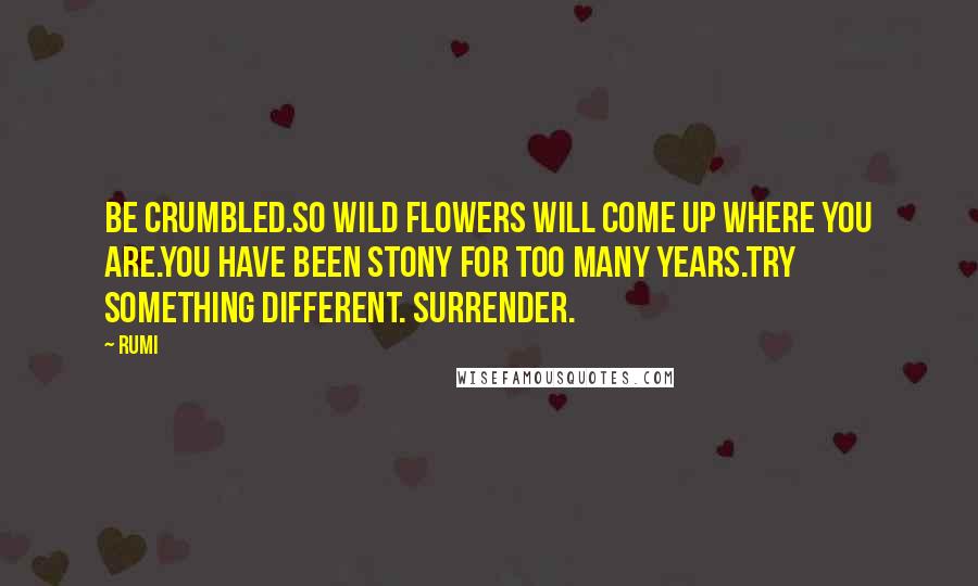 Rumi Quotes: Be crumbled.So wild flowers will come up where you are.You have been stony for too many years.Try something different. Surrender.