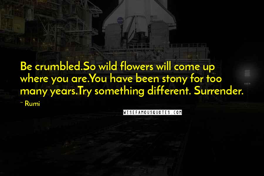 Rumi Quotes: Be crumbled.So wild flowers will come up where you are.You have been stony for too many years.Try something different. Surrender.