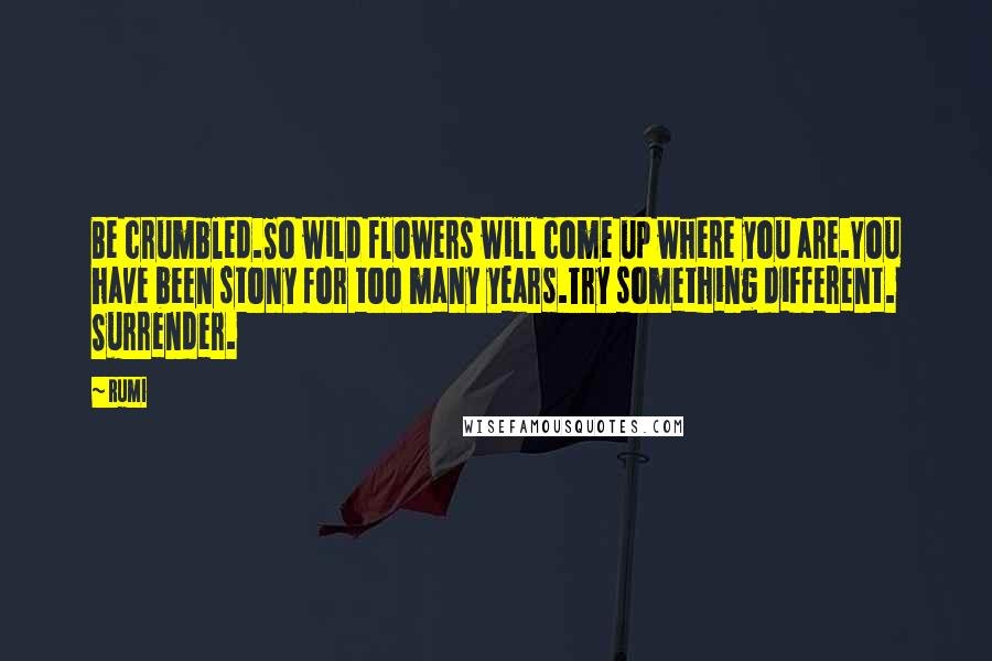 Rumi Quotes: Be crumbled.So wild flowers will come up where you are.You have been stony for too many years.Try something different. Surrender.