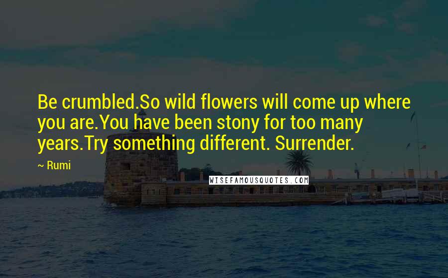 Rumi Quotes: Be crumbled.So wild flowers will come up where you are.You have been stony for too many years.Try something different. Surrender.