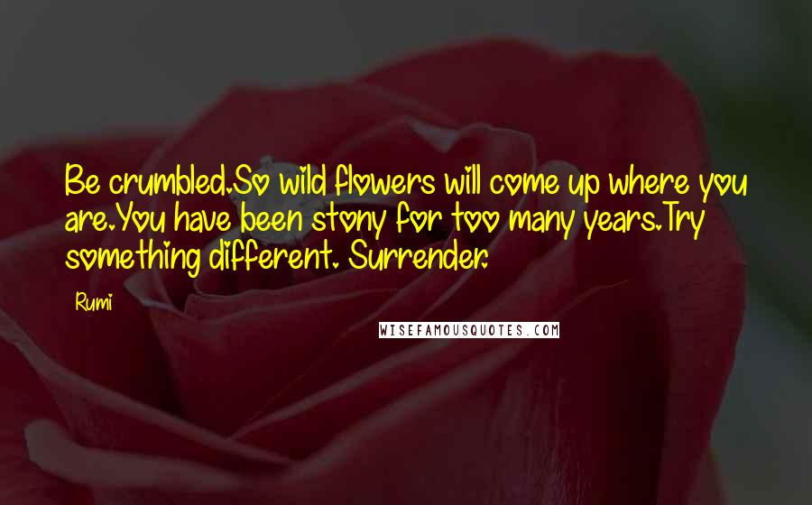 Rumi Quotes: Be crumbled.So wild flowers will come up where you are.You have been stony for too many years.Try something different. Surrender.