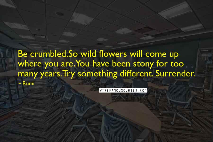 Rumi Quotes: Be crumbled.So wild flowers will come up where you are.You have been stony for too many years.Try something different. Surrender.