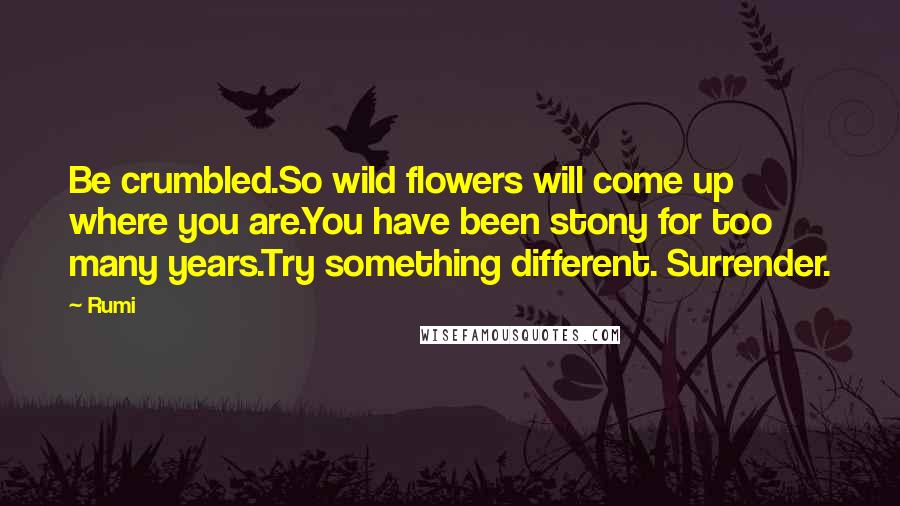 Rumi Quotes: Be crumbled.So wild flowers will come up where you are.You have been stony for too many years.Try something different. Surrender.