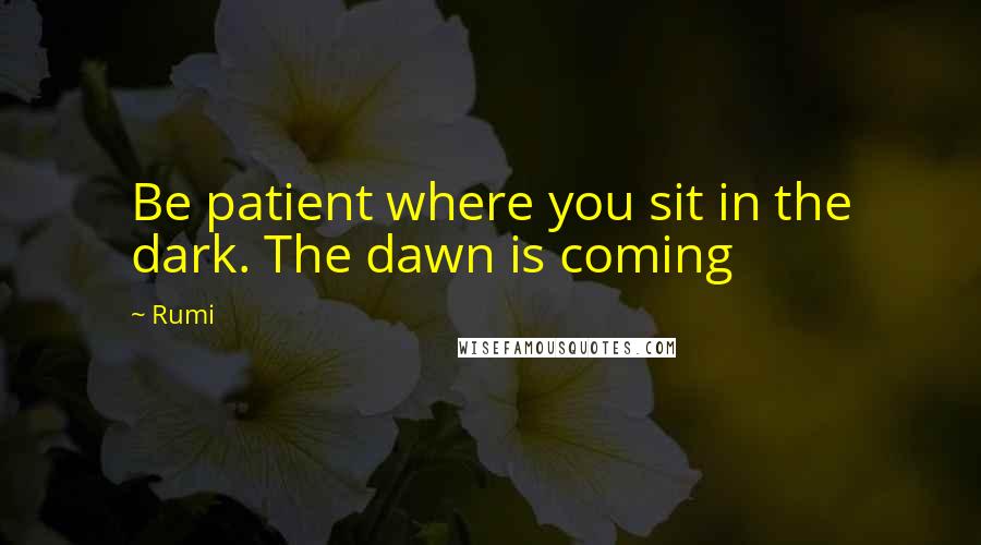 Rumi Quotes: Be patient where you sit in the dark. The dawn is coming
