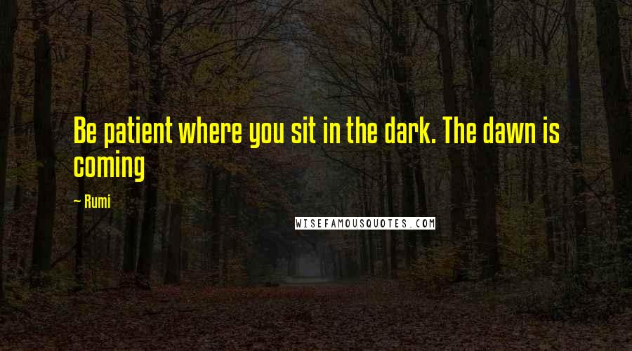 Rumi Quotes: Be patient where you sit in the dark. The dawn is coming