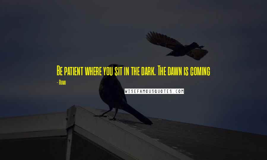Rumi Quotes: Be patient where you sit in the dark. The dawn is coming