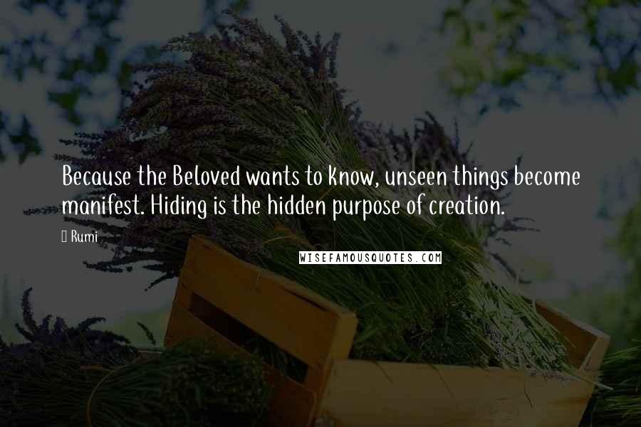 Rumi Quotes: Because the Beloved wants to know, unseen things become manifest. Hiding is the hidden purpose of creation.