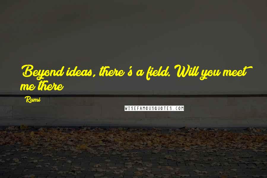 Rumi Quotes: Beyond ideas, there's a field. Will you meet me there?