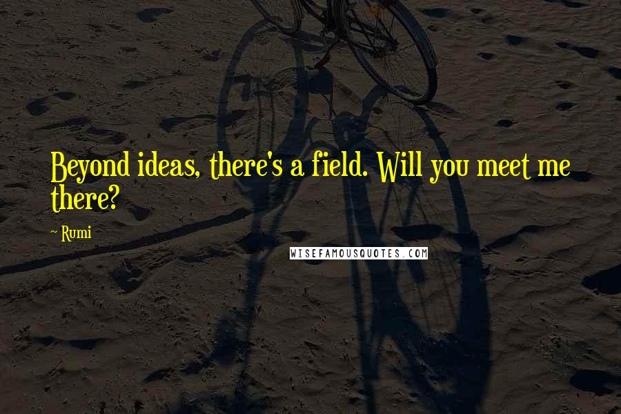 Rumi Quotes: Beyond ideas, there's a field. Will you meet me there?