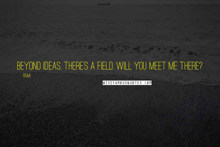 Rumi Quotes: Beyond ideas, there's a field. Will you meet me there?